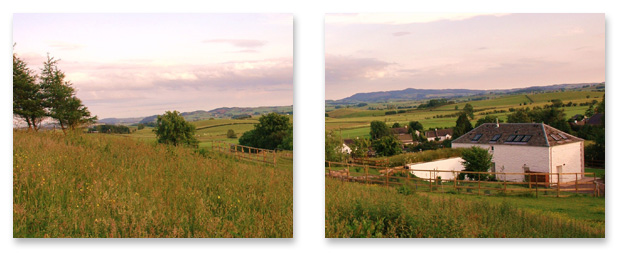 Roof_scotland10